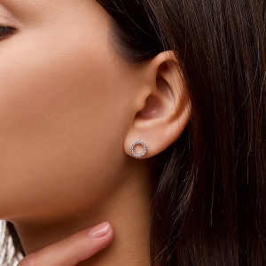 Stř&iacute;brn&eacute; n&aacute;u&scaron;nice "Měs&iacute;c"