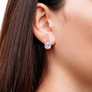 Stř&iacute;brn&eacute; n&aacute;u&scaron;nice "Fantazie"