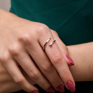 Stř&iacute;brn&yacute; prsten "Hřeb&iacute;k"