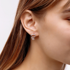 Stř&iacute;brn&eacute; pecky "Snake"